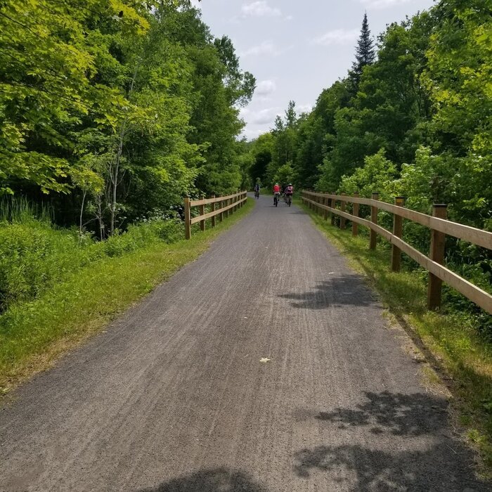 Full Day Hybrid Bike Rental