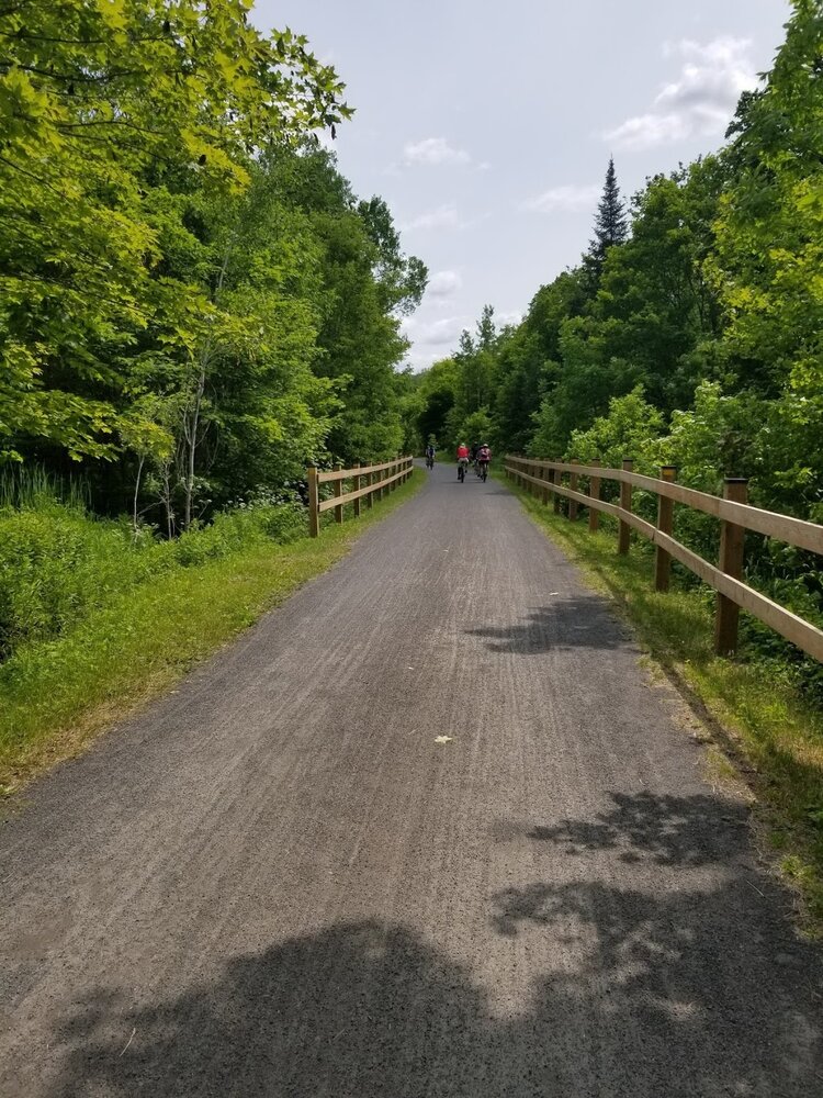 Full Day Hybrid Bike Rental