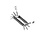 Outils shed 11