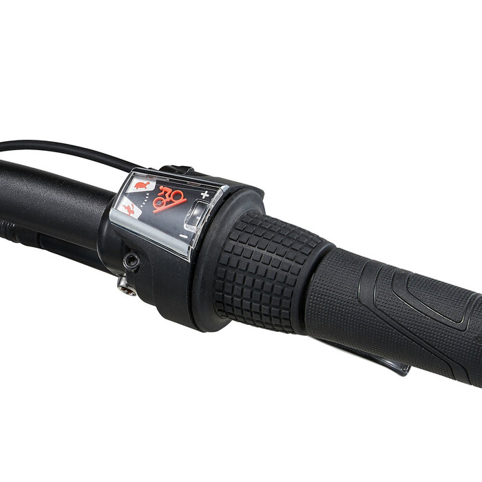 Giant STP 20"