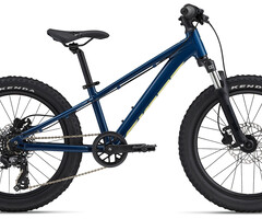 Giant STP 20"
