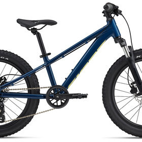 Giant STP 20" Giant STP 20"