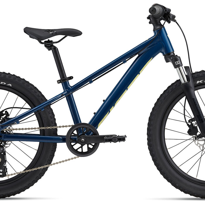 Giant STP 20"