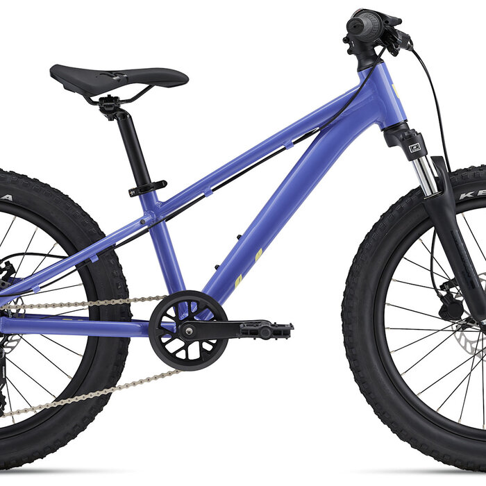 Giant STP 20"