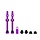 V2, Valve Tubeless, Presta, 60mm, Mauve, Paire