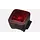 Flashback Taillight