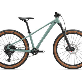 Liv STP 26 Eucalyptus Liv STP 26 Eucalyptus