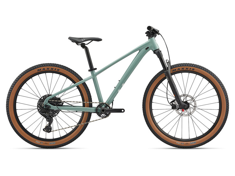 Liv STP 26  Eucalyptus