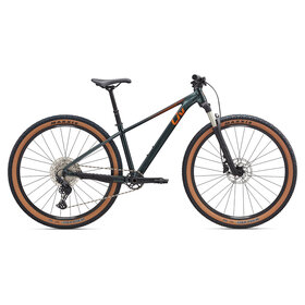 Liv 26 Tempt 0 S - 29 Asphalt Green