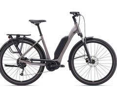 Giant Expression E +