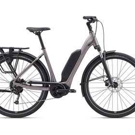 Giant Expression E +