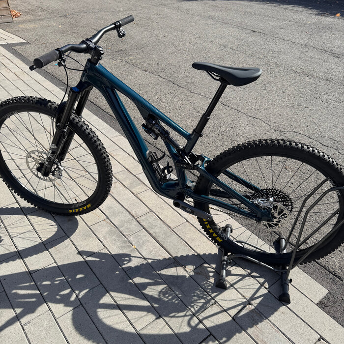 Specialized SJ EVO Build - Deep Lake/Obsidian