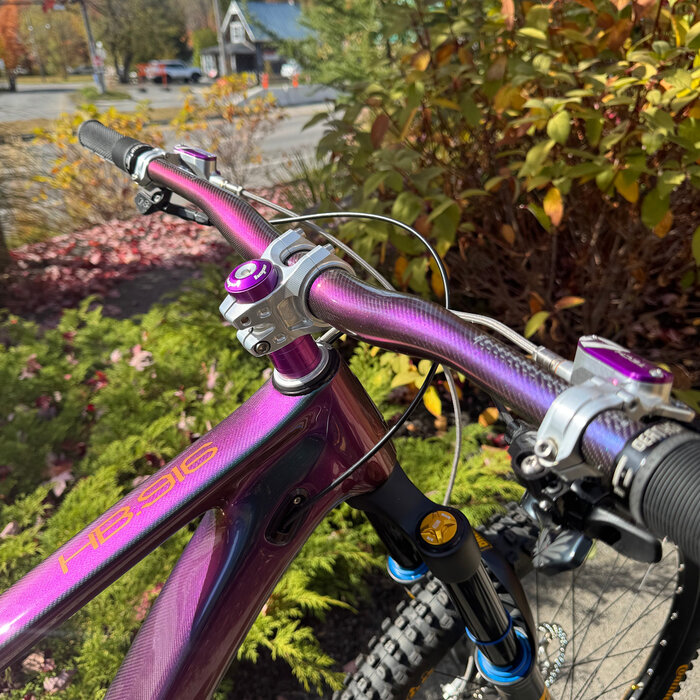 Hope HB916 Bike Cameleon W/X01 Drivetrain H2 Cameleon