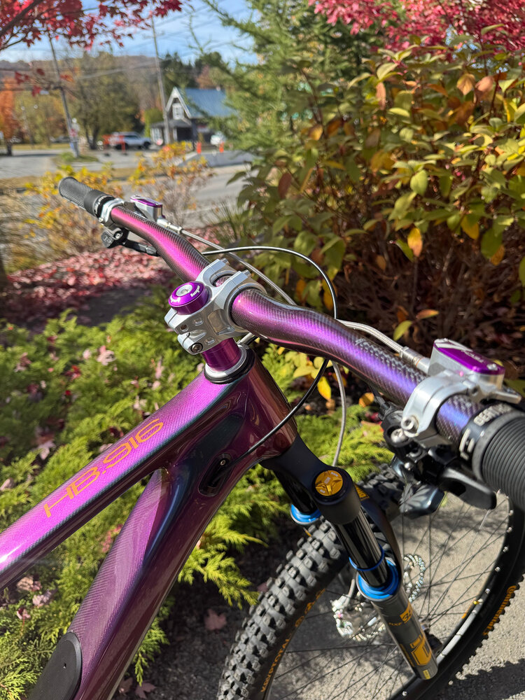 Hope HB916 Bike Cameleon W/X01 Drivetrain H2 Cameleon