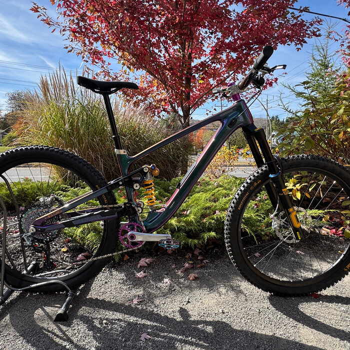 Hope HB916 Bike Cameleon W/X01 Drivetrain H2 Cameleon