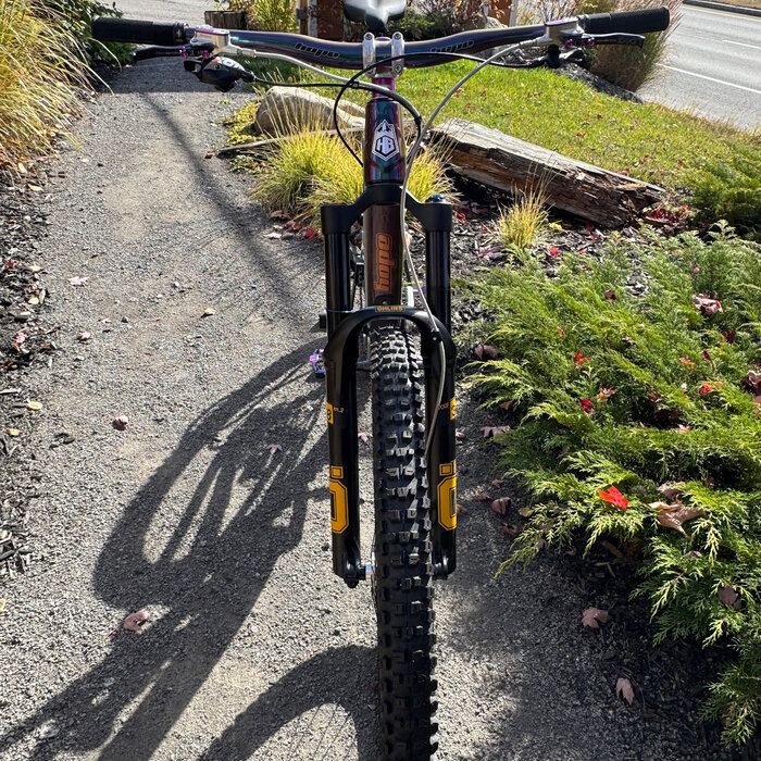 Hope HB916 Bike Cameleon W/X01 Drivetrain H2 Cameleon