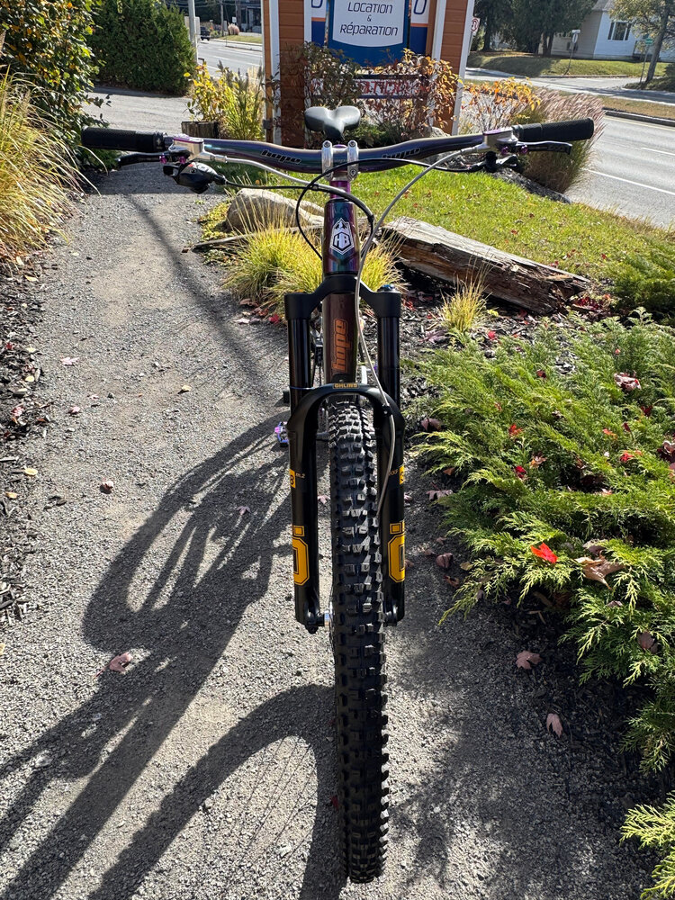 Hope HB916 Bike Cameleon W/X01 Drivetrain H2 Cameleon