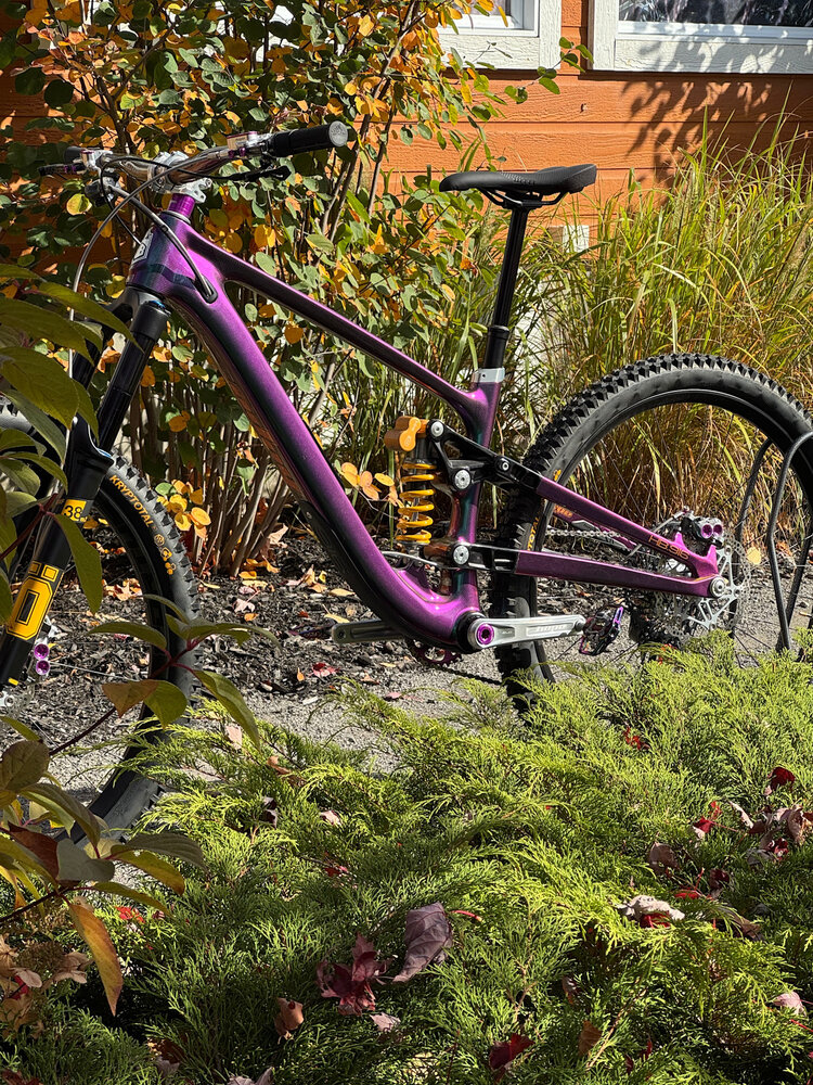 Hope HB916 Bike Cameleon W/X01 Drivetrain H2 Cameleon