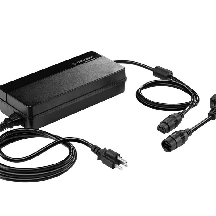 E-BIKE SMART CHARGER 36V 6A