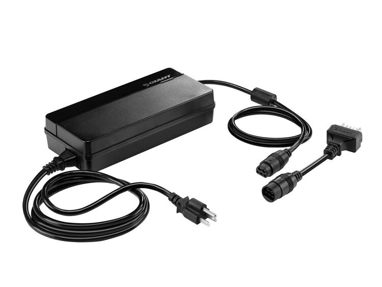 E-BIKE SMART CHARGER 36V 6A