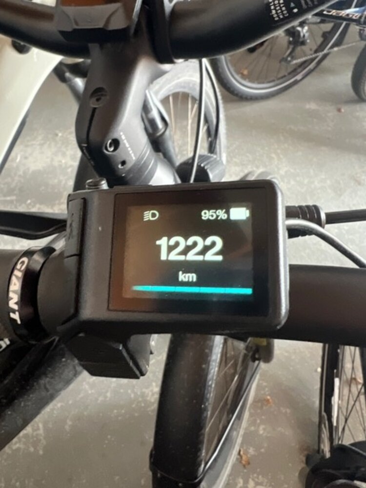 Giant DEMO Explore E+1  Misty Forest X-L