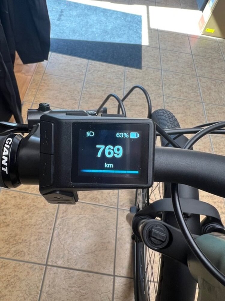 Giant DEMO Giant Explore E+1  Misty Forest Medium