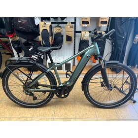 Giant DEMO Giant Explore E+1  Misty Forest Medium