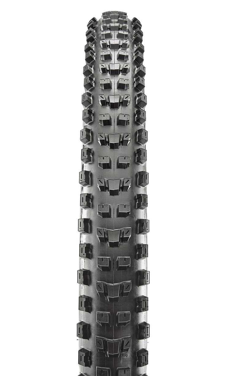 Maxxis MAXXIS TIRE MOUNTAIN DISSECTOR II 29X2.4 F60 3C MAXXTERRA EXO TR