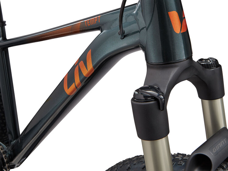 Liv 26 Tempt 0 S - 29 Asphalt Green