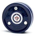 Blue Hockey Winnipeg Jets Green Biscuit