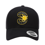 NW Satelites NW Satelites Logo Ball Cap