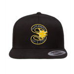 NW Satelites NW Satelites Logo Flat Brim Hat