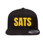 NW Satelites NW Satelites 3D Logo Flat Brim Hat