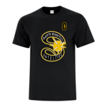 NW Satelites NW Satelites Player Fan Tee