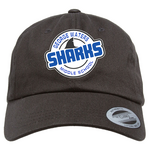 GWMS GWMS Dad Hat