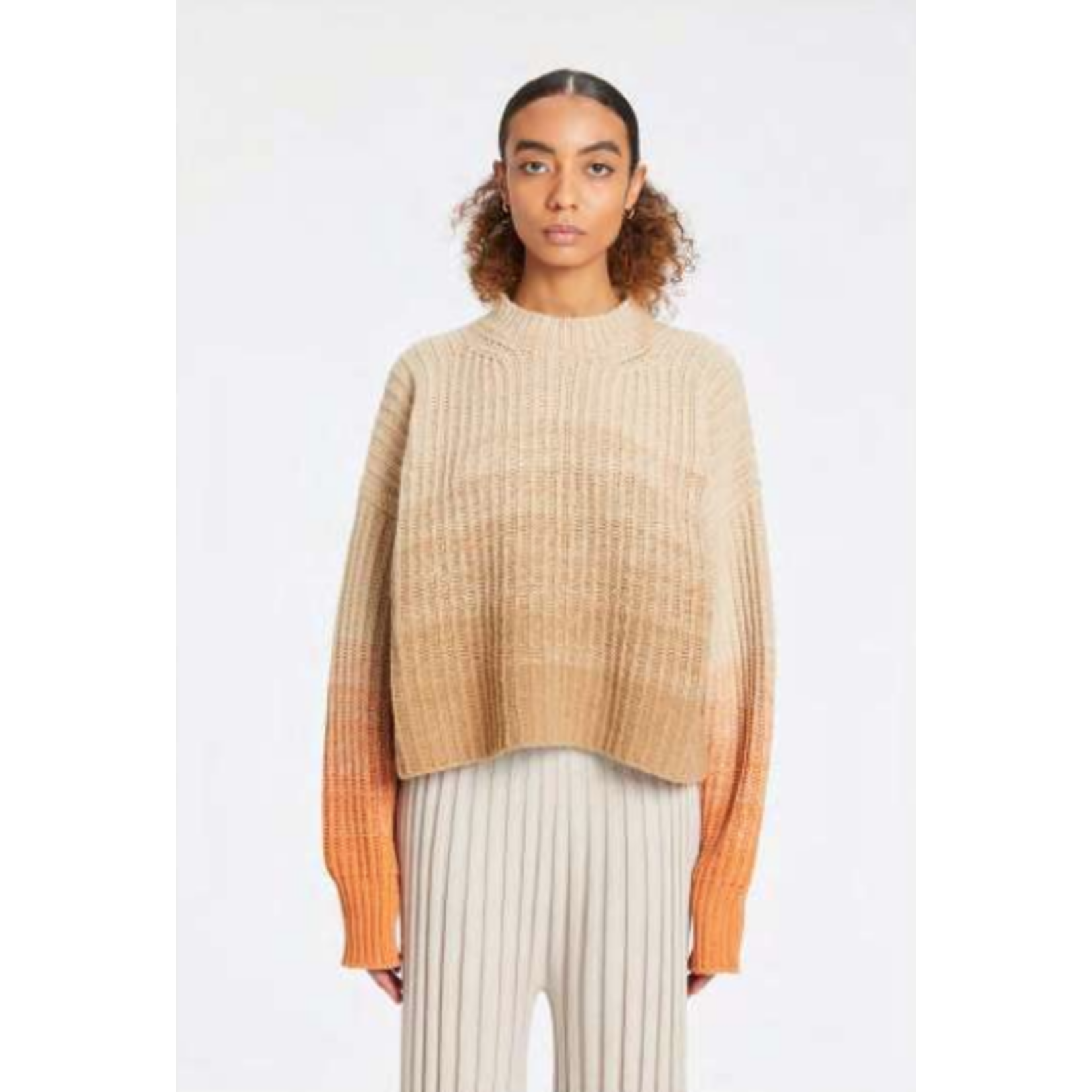 WLNS Ribbed Crewneck Ombre Sweater