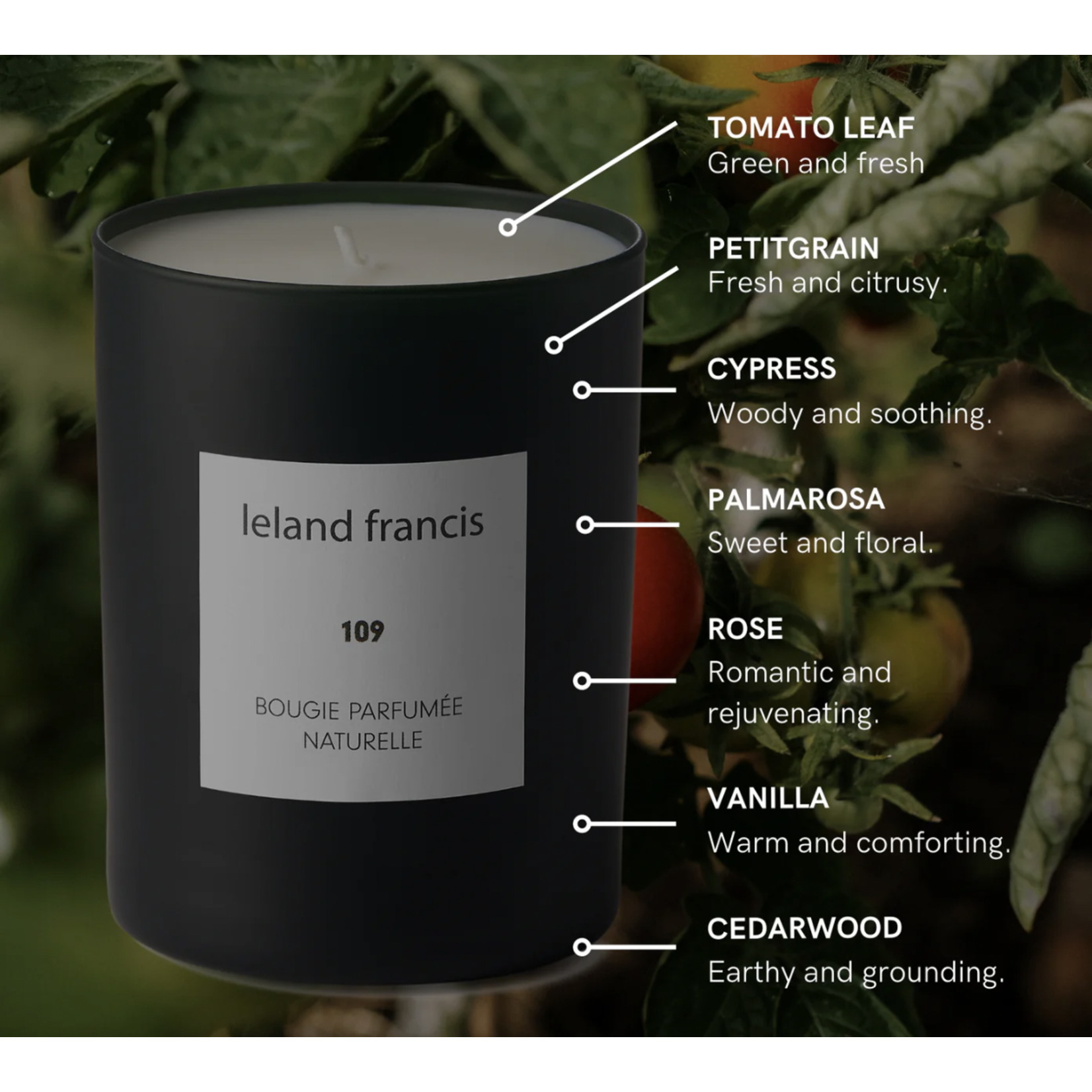 leland francis 109 Candle
