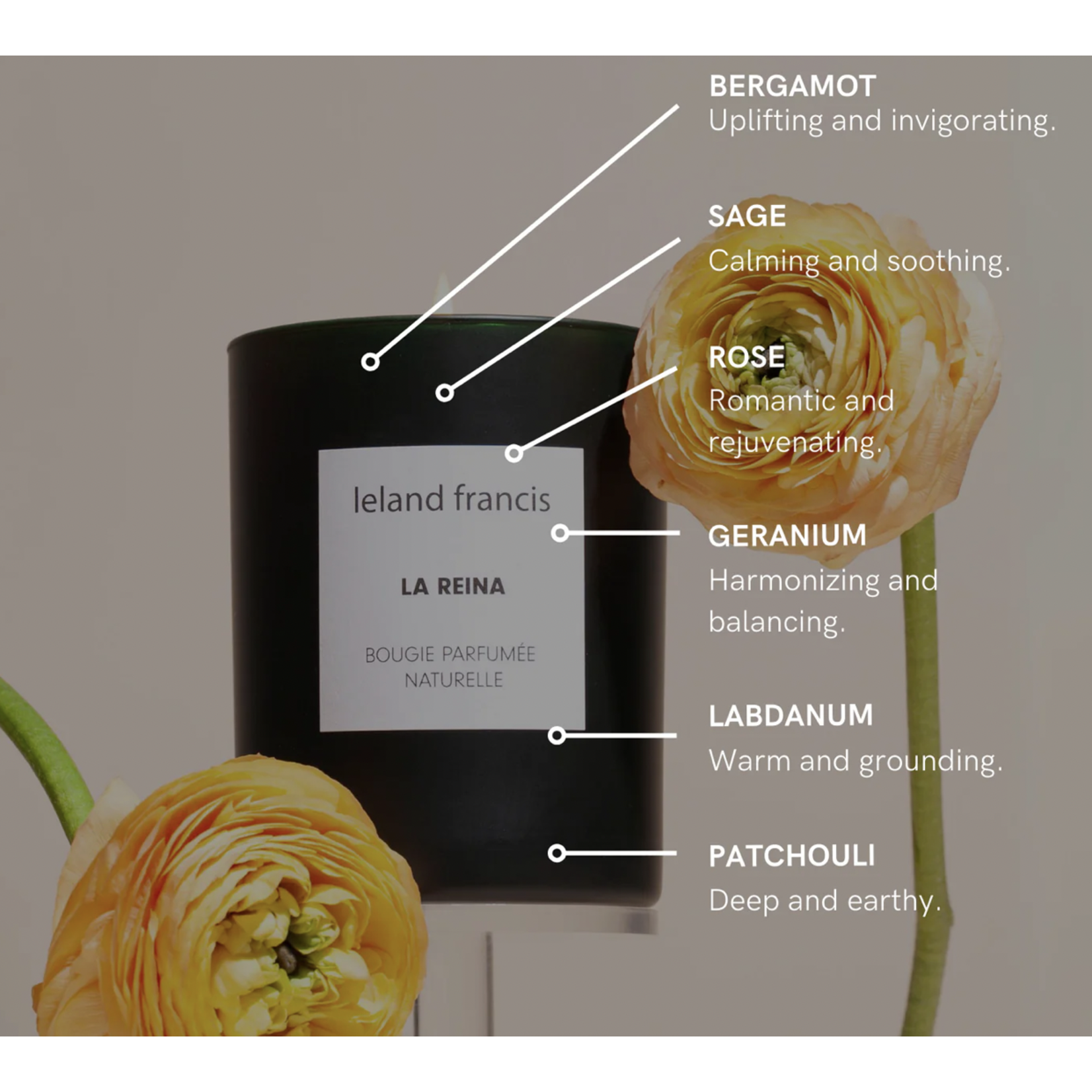 leland francis La Reina Candle
