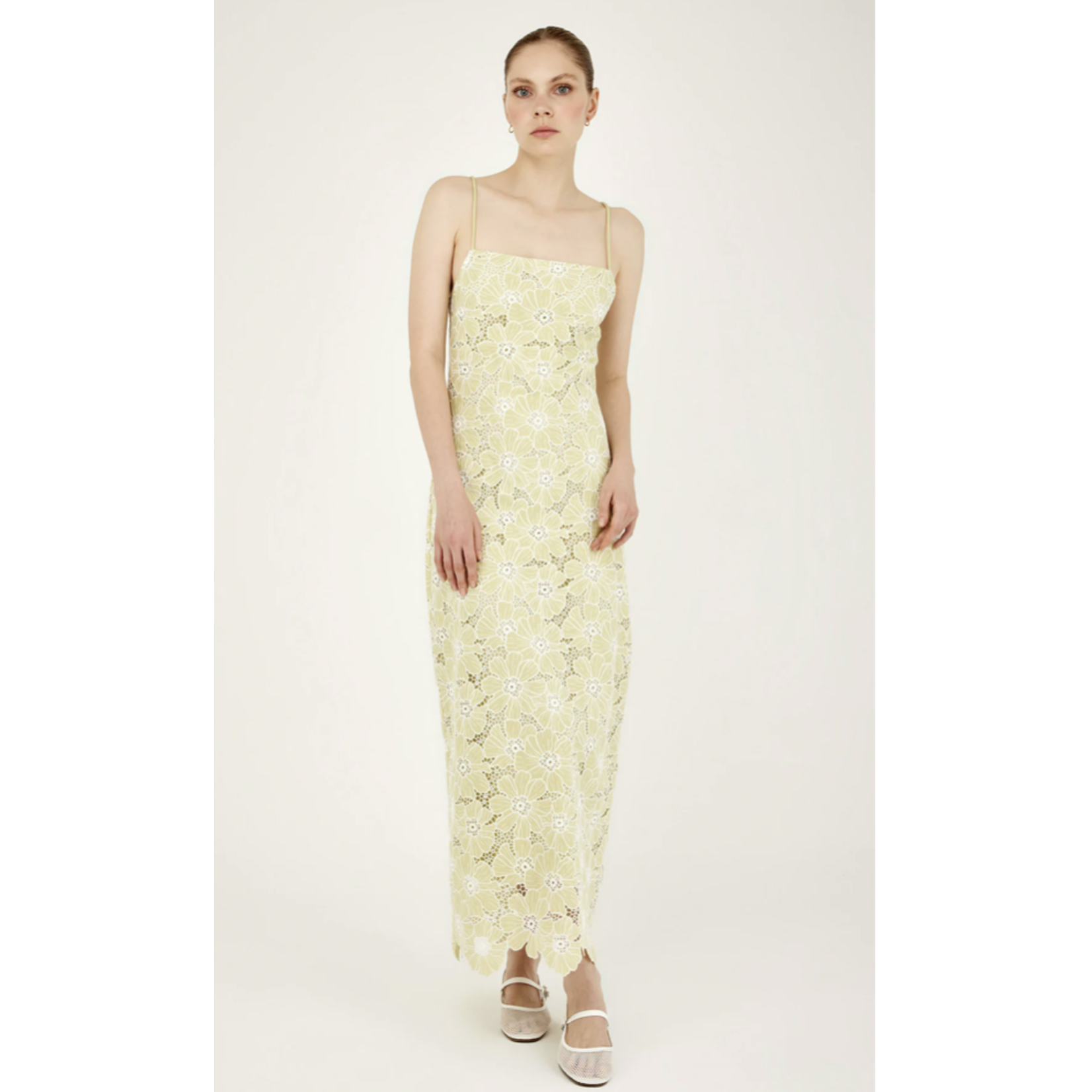 Especia Pandurata Midi Dress