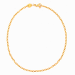 ARA Collection 24k Gold Figaro Chain