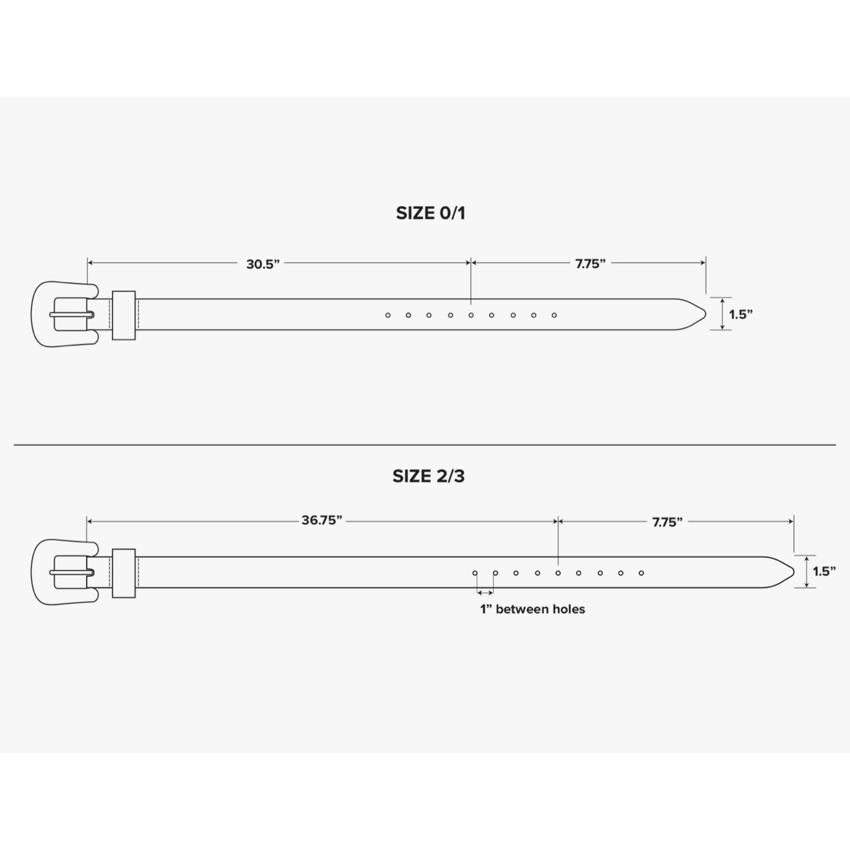 Freda Salvador Laia Belt