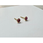 Andi Alyse Garnet (.91ct) and 18K Yellow Gold (1.25gr) Stud Earrings