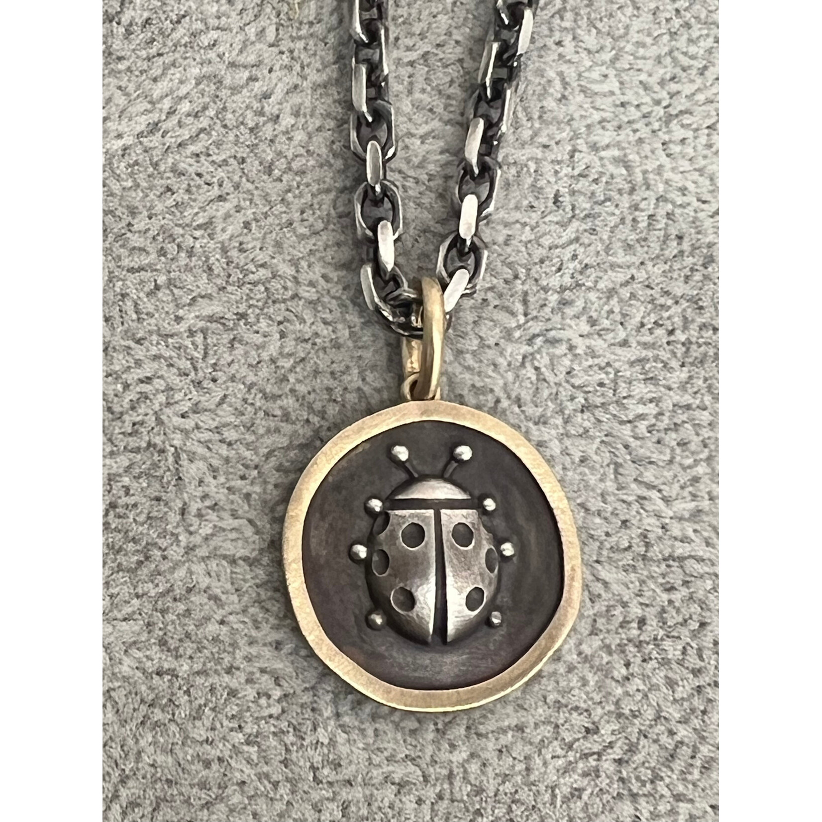 Kelly O'Donovan Love and Luck Ladybug Medallion, 14k and Silver