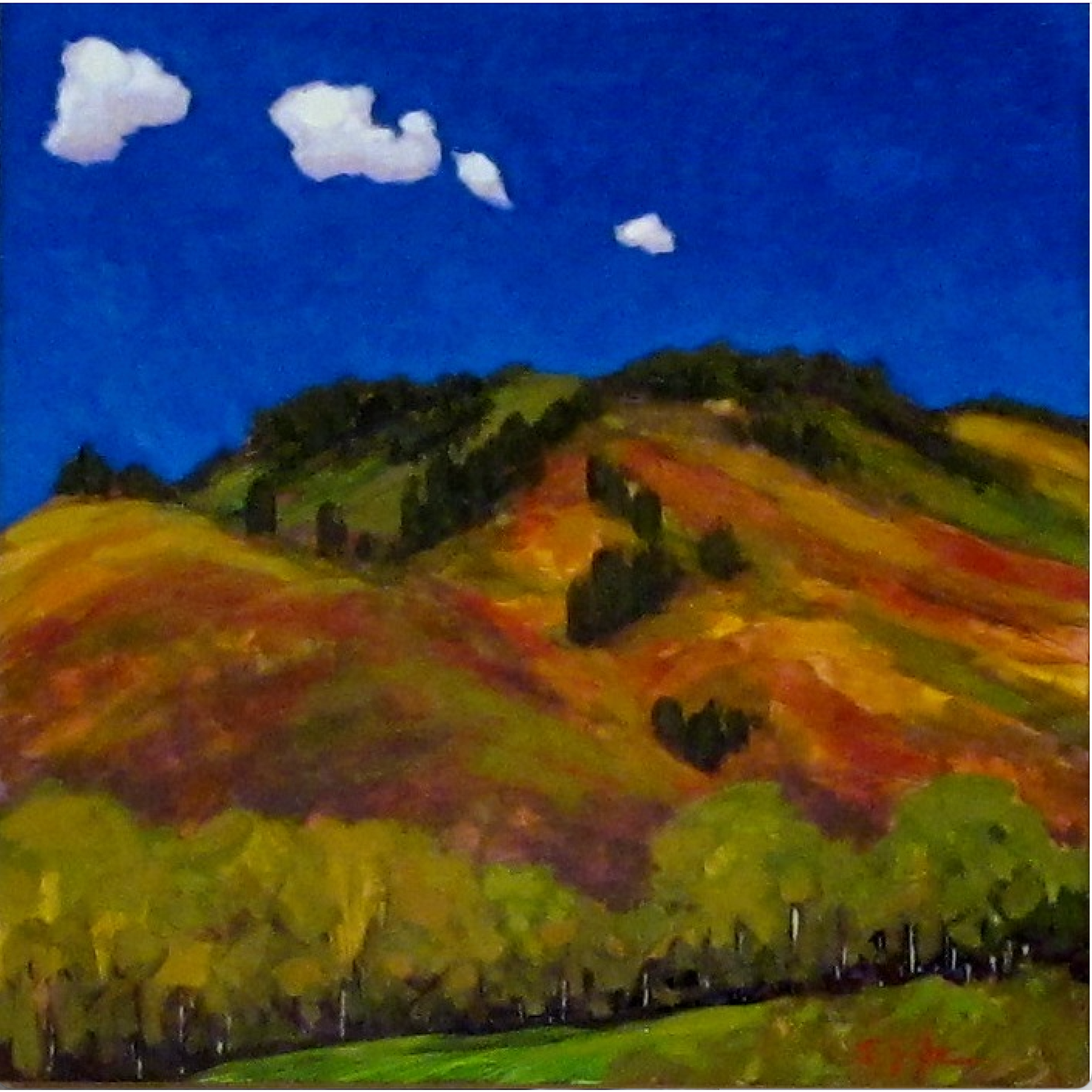 Jeff Sojka A Colorful Afternoon