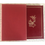 Hunting on Big Game Trails