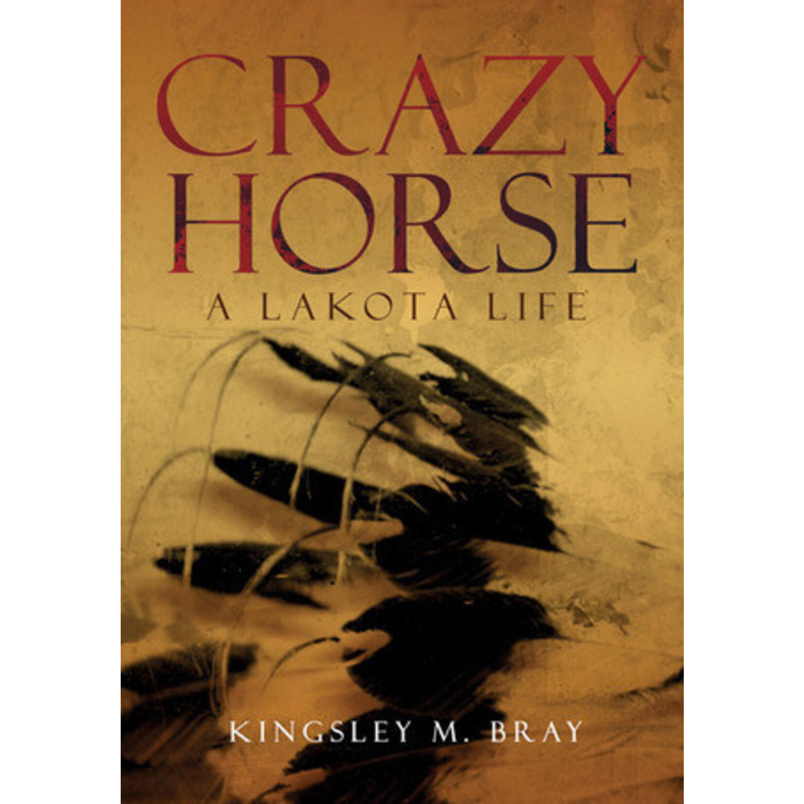 Crazy Horse A Lakota Life