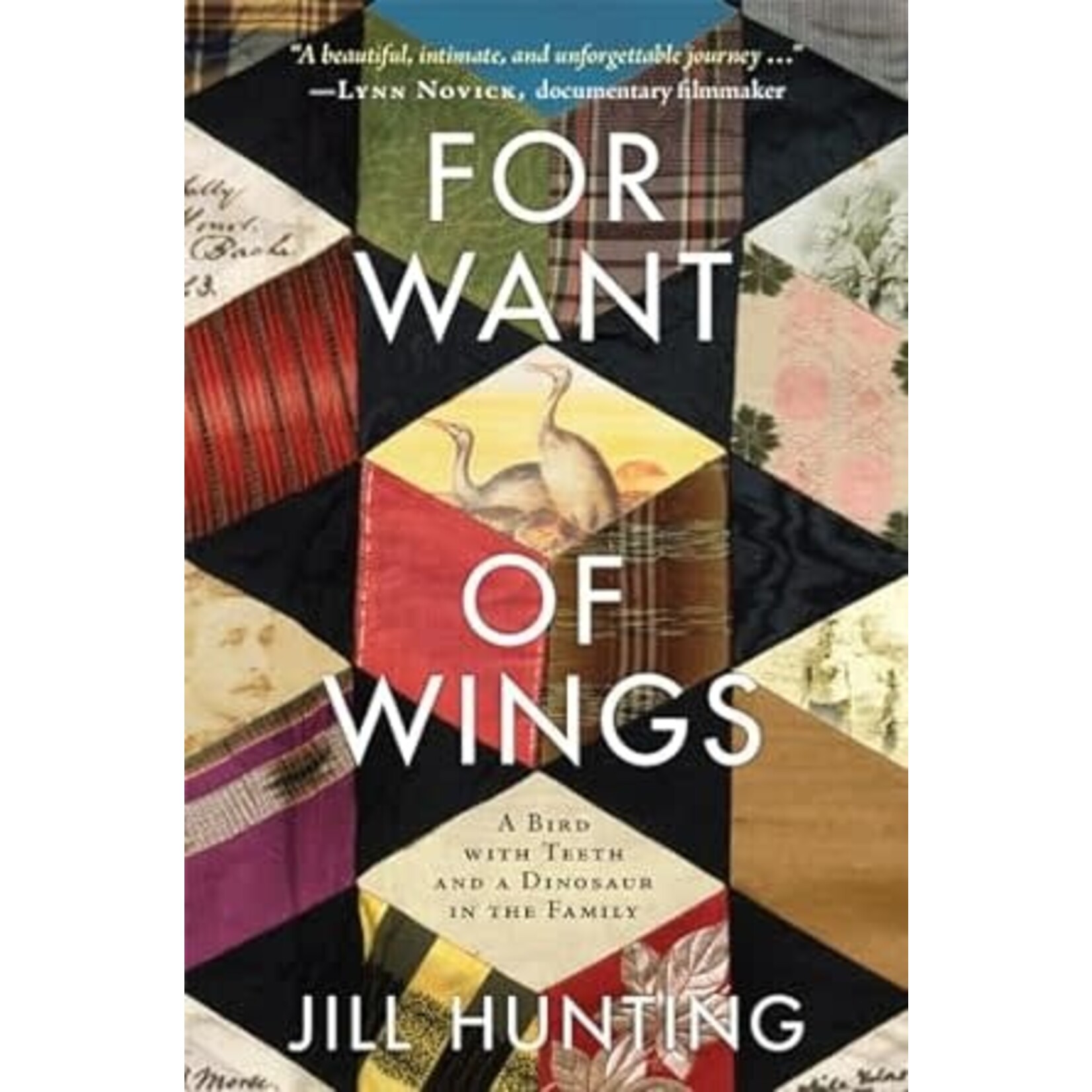 For Want of Wings