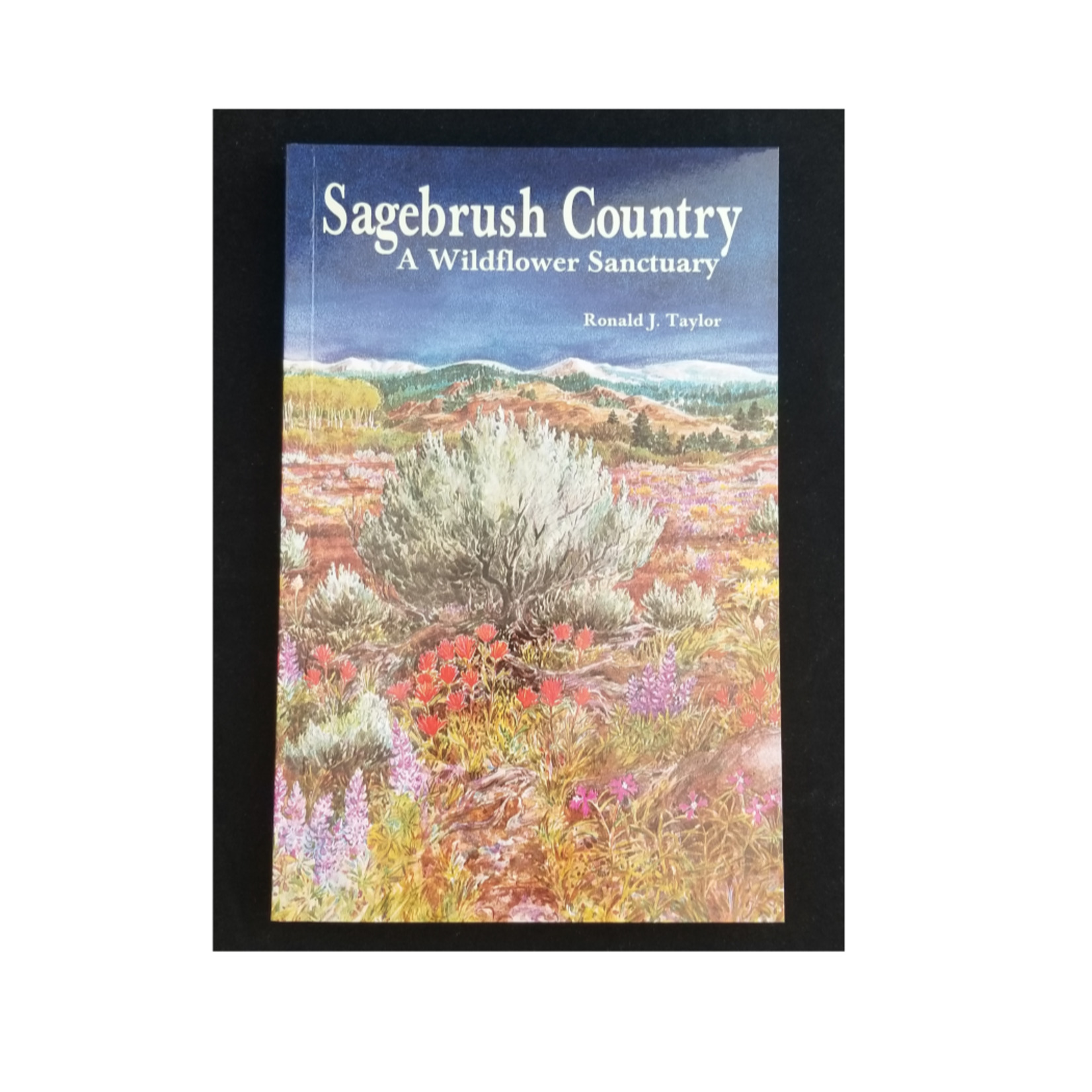 Sagebrush Country
