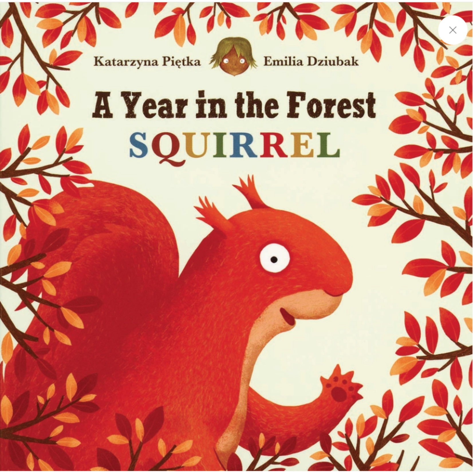 A year in the forest-Squirrel