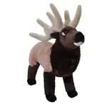 Elk